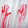 Blood Bath Shower Curtain and Bath Mat