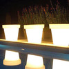 Bloom Light Pot by Designer Rob Slewe