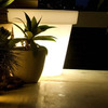 Bloom Light Pot by Designer Rob Slewe