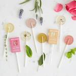Blooming Lollipops - Plant the Seed-Filled Sticks to Grow Flowers and Herbs