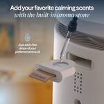 BlueAir DreamWell Mist-Free Humidifier + Essential Oil Aroma Diffuser