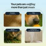 BlueAir PetAir Pro - World's First Pet Bed That Purifies the Air
