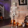 Bony Tony - Animatronic Talking Skeleton With Microphone