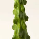 Boobie Cactus