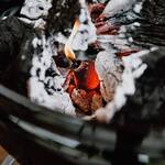 Boom! Fire Starters - 100% Organic Coconut Fiber, Smokeless, Odorless