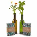 Bottle Stopper Hydroponic Garden Kit