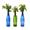 Bottle Stopper Hydroponic Herb Garden Kit