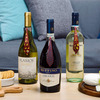 BottleTie - Wine Bottle Corkscrew / Necktie