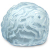 Brain Freeze Ice Cube Tray