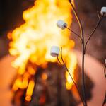 Branching Marshmallow Roasting Stick
