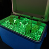 Brightz - LED Cooler Lights
