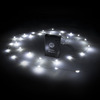 Brightz - LED Cooler Lights