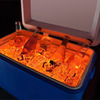 Brightz - LED Cooler Lights