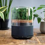 Briiv - Plant-Based Air Purifier