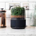 Briiv - Plant-Based Air Purifier
