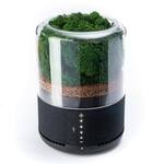 Briiv - Plant-Based Air Purifier