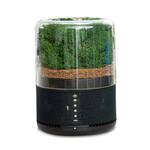 Briiv - Plant-Based Air Purifier