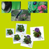 Brinno GardenWatchCam - Timelapse Video Camera For Your Garden