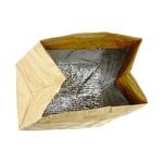 Brown Paper Bag - Insulated and Reusable Lunch Bag