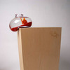 Bubble Tank Fish Bowl