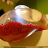 Bubble Tank Fish Bowl