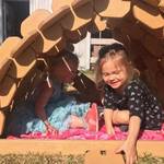 Builder Boards - Interlocking Wooden Building Blocks
