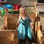Builder Boards - Interlocking Wooden Building Blocks