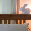 Bunny Lamp
