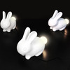 Bunny Lamp