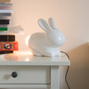 Bunny Lamp