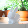 Bunny Lamp