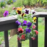 Burlap Hanging Saddle Bag Planter for Railings and Fences