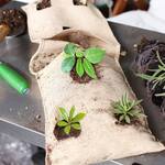 Burlap Hanging Saddle Bag Planter for Railings and Fences