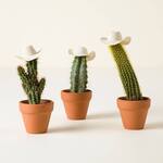 Cactus Trio Wearing Cowboy Hats