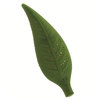 Camellia Leaf - Floating Tea Infuser