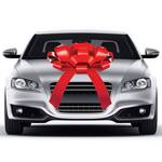 CarBowz - Magnetic Giant Red Car Bows