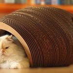 Cardboard Cat Cocoon