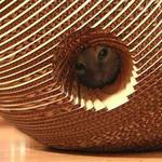 Cardboard Cat Cocoon