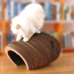Cardboard Cat Cocoon