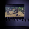 Cardboard Home Cinema