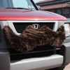 Carstache - Furry Car Mustache