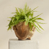 Carved Teak Urn Planter