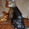Cat Battle Armor