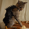Cat Battle Armor
