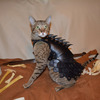 Cat Battle Armor