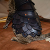 Cat Battle Armor