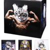 Cat Bods Play Cube