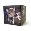 Cat Bods Play Cube