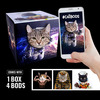 Cat Bods Play Cube
