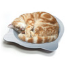 Cat Cooling Tray